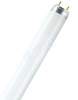 Лампа линейная люминесцентная ЛЛ 18вт L 18/830 G13 тепло-белая Osram (581242)