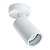 Светильник ДБУ GU10 без лампы наклонный IP54 белый