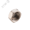 Заглушка 1/2' ВР (BF.562.04)