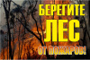 Знак ''Берегите лес от огня!'' 1200х800 мм