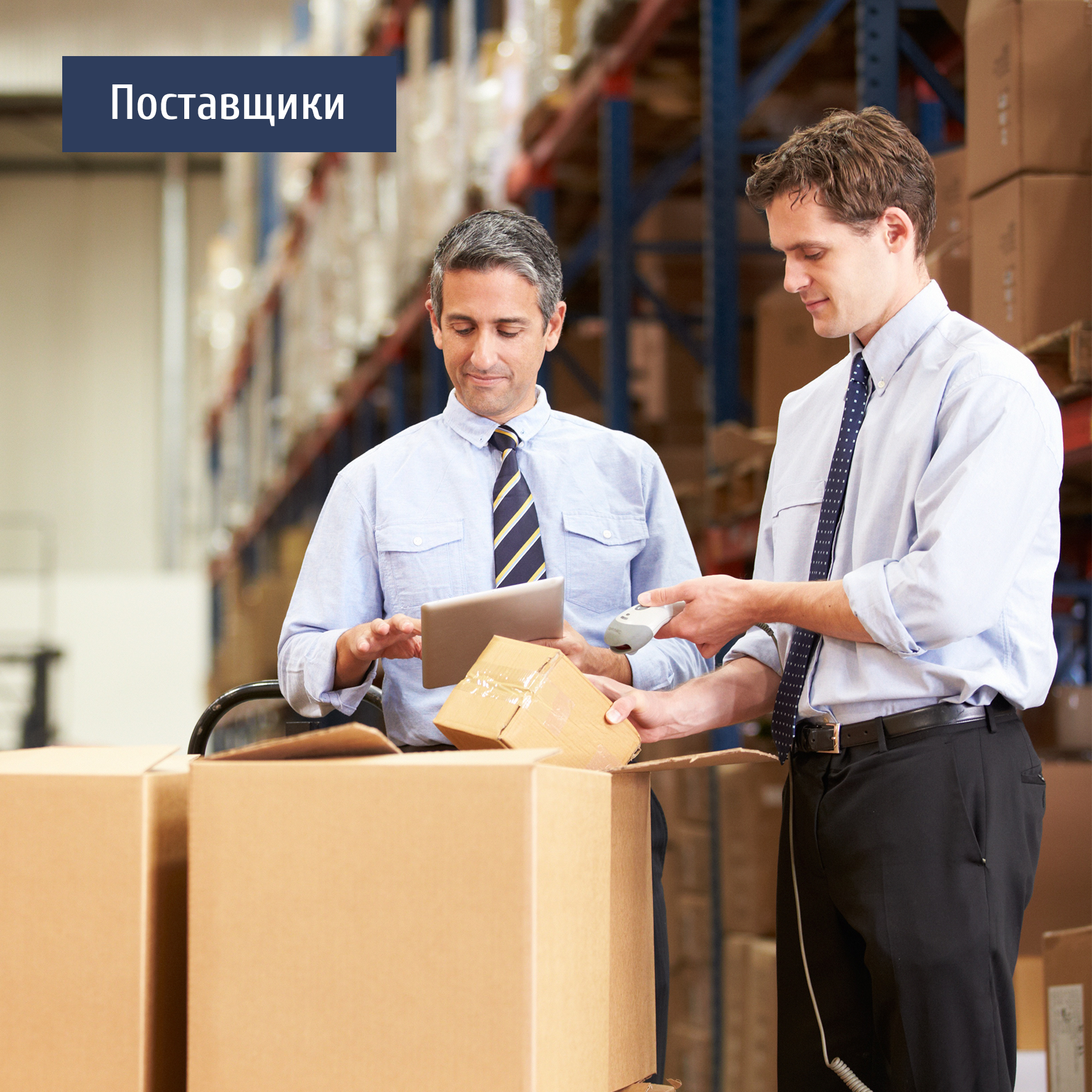 Поставщики